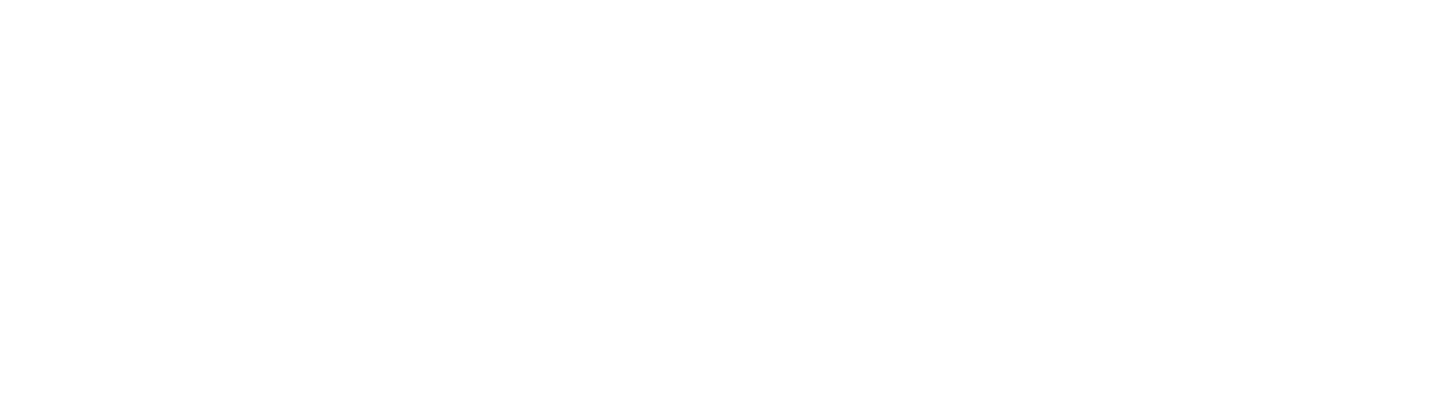 Studio Mimesis